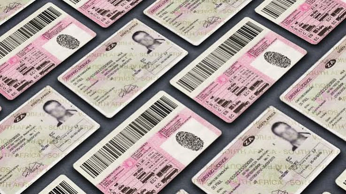 South Africa Driving Licence Cards