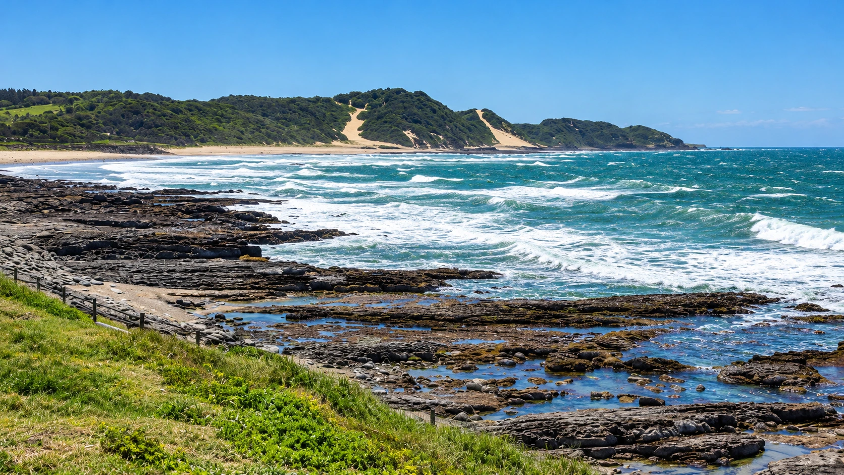 Woman, 65, Killed in Shark Attack